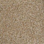 beige_cs-150×150