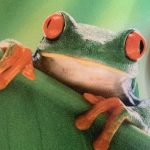 Full Color Vinyl Print