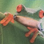 Digitally Printed Carpet