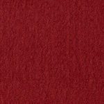 Contender_Cardinal_6305