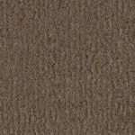 Contender_Shell_6600