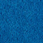 DP Big Top Blue FE Circus