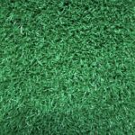Green Triumph