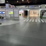 CES7