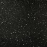 CleanTread Chip Black